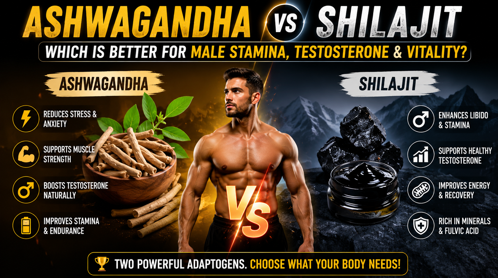 Ashwagandha vs Shilajit: Which is Better for Male Stamina, Testosterone & Vitality?